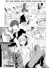 b29009e1 a13b 4850 a911 49b263abb213