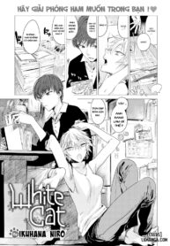 b29009e1 a13b 4850 a911 49b263abb213